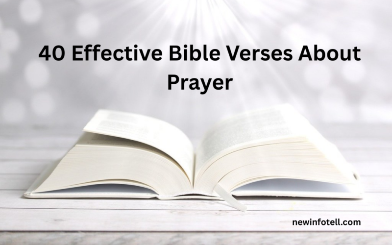 40 Effective Bible Verses About Prayer