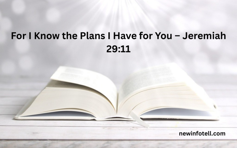 For I Know the Plans I Have for You – Jeremiah 29:11